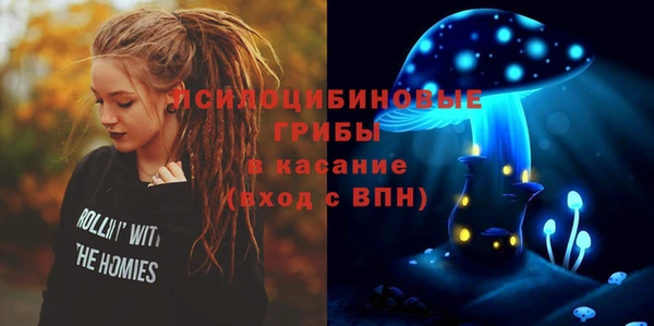 шишки Липки