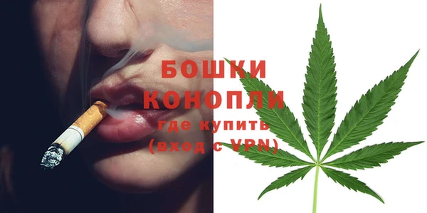 шишки Липки