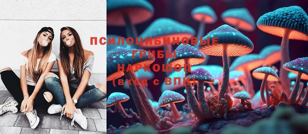 шишки Липки
