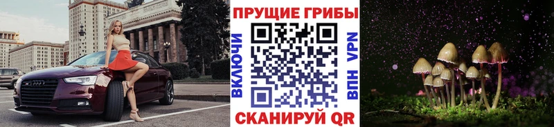 Галлюциногенные грибы Psilocybe  Вышний Волочёк 