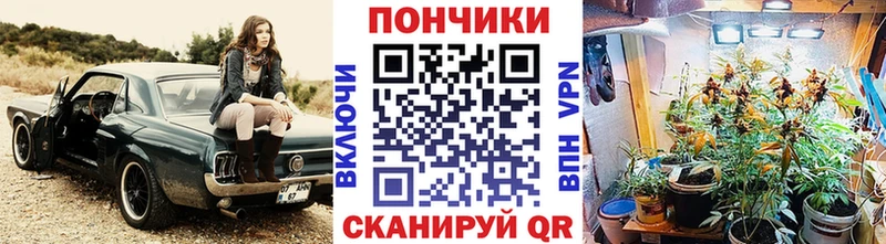гидра зеркало  Вышний Волочёк  Канабис ГИДРОПОН  где купить наркотик 